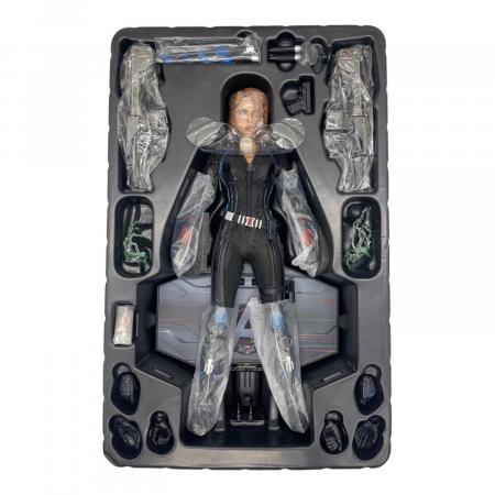 Hot toys (ホットトイズ) BLACK WIDOW 1/6スケールコレクティブル