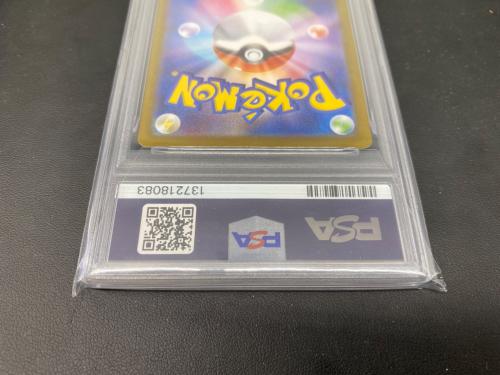 トゲデマル 090/080 AR PSA10