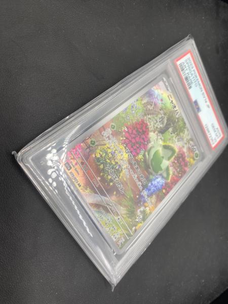 ニャオハ 075/073 AR PSA10｜トレファクONLINE