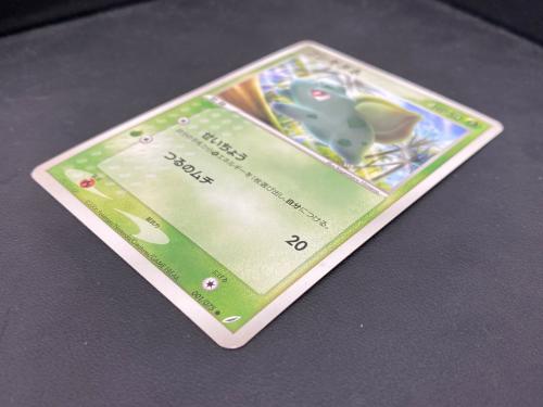 ポケモンカード フシギダネ