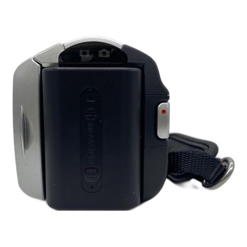 SONY (ソニー) デジタルビデオカメラ DCR-SX41 HANDYCAM 09年製