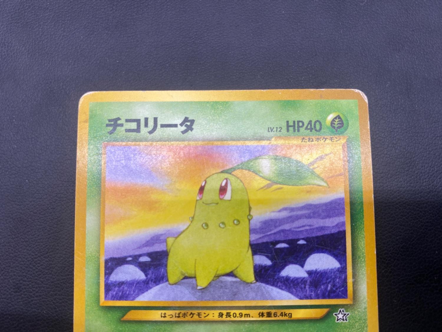 チコリータ ポケモンカード チャンピオンロード 2000来場者記念