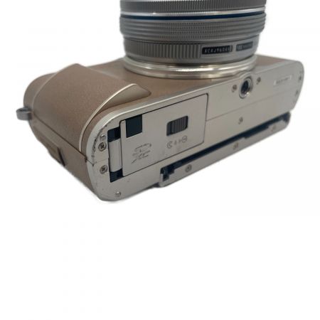 OLYMPUS (オリンパス) ミラーレス一眼カメラ E-PL10 SDカード対応 BJCA10411