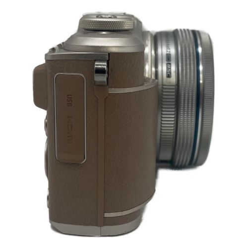 OLYMPUS (オリンパス) ミラーレス一眼カメラ E-PL10 SDカード対応
