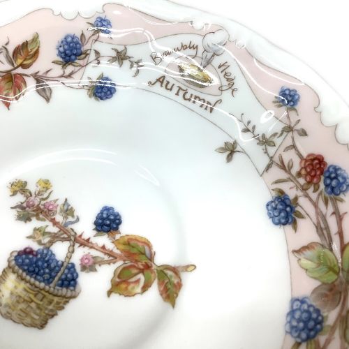 ROYAL DOULTON (ロイヤルドルトン) カップ&ソーサー 四季 ブランベリー 