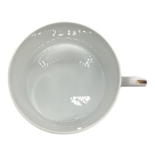 RICHARD GINORI (リチャードジノリ) イタリアンフルーツ カップ&ソーサー