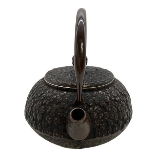 南部鉄器 (ナンブテッキ) 鉄瓶
