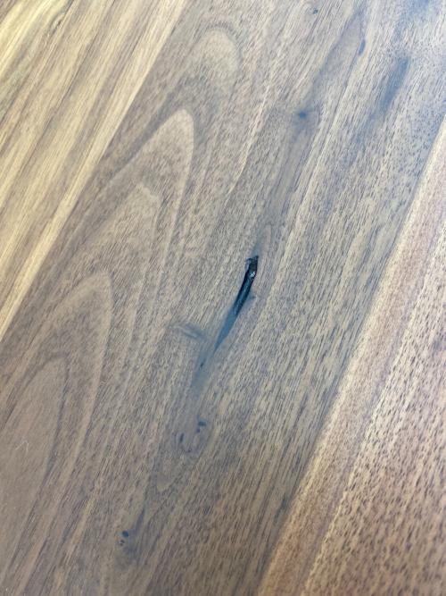 無印良品 木製ベンチ ウォールナット材