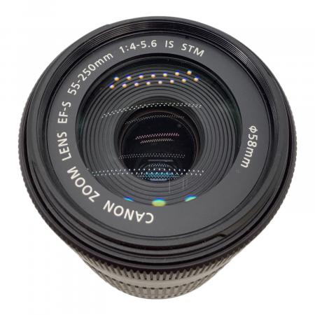 CANON (キヤノン) ズームレンズ EF-S55-250mm F4-5.6 IS STM