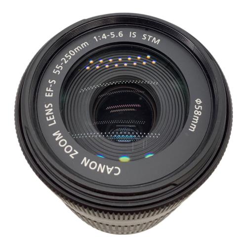 CANON (キヤノン) ズームレンズ EF-S55-250mm F4-5.6 IS STM