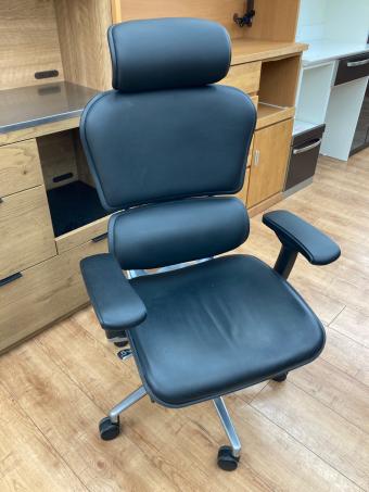 Ergohuman (エルゴヒューマン) ベーシック JOIFA802 ワークチェアー