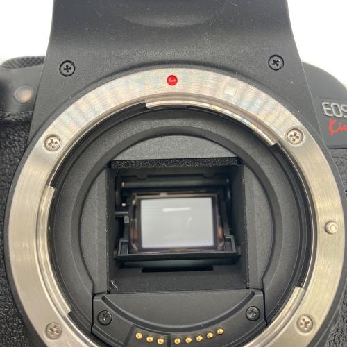 CANON (キヤノン) デジタル一眼レフカメラ EOS Kiss X9i