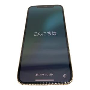 Apple (アップル) iPhone12 Pro MGMC3J/A