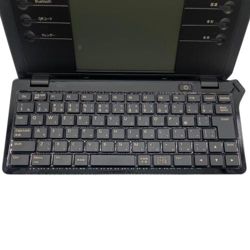 KINGJIM (キングジム) デジタルメモ ポメラ DM100