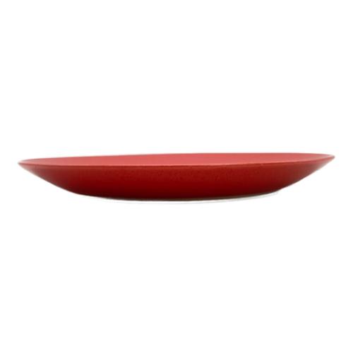 RYOTA AOKI Assiette 7 Red プレート