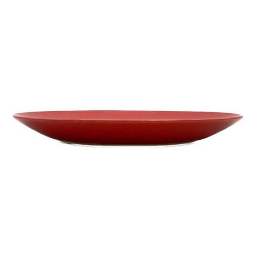 RYOTA AOKI Assiette 7 Red プレート