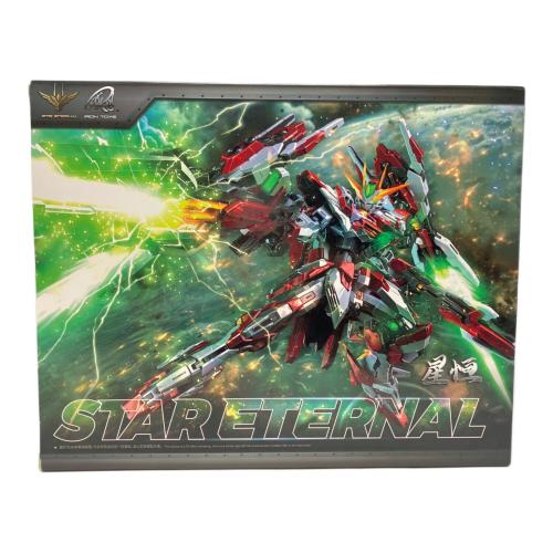 IRON TOYS(アイアントイズ) 星恒(STAR ETERNAL) 1/100スケール プラモデル TC-02