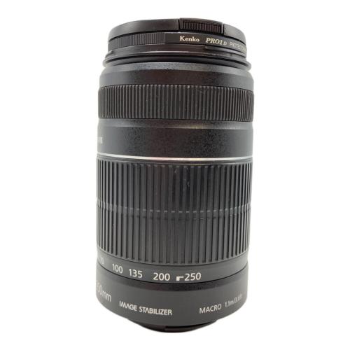 CANON (キヤノン) EF-S55-250mm F4-5.6 IS ズームレンズ 2043B001