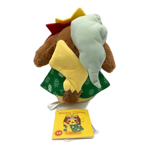 Pokemon Center (ポケモンセンター) 獅子舞 エンテイ 着ぐるみピカチュウ ヌイグルミ