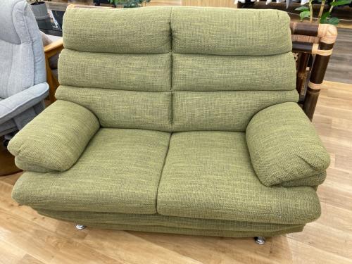 2人掛けソファー グリーン 背もたれ取り外し可能  229