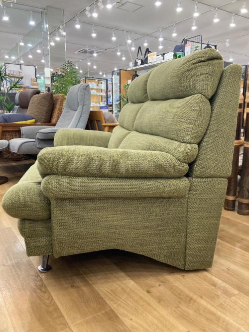 2人掛けソファー グリーン 背もたれ取り外し可能  229