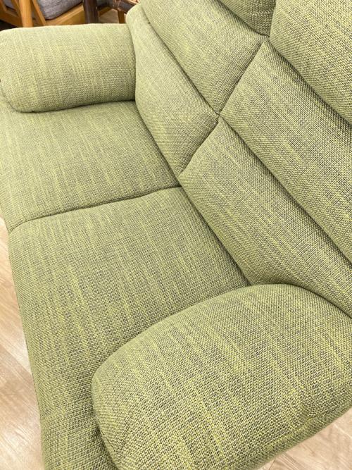 2人掛けソファー グリーン 背もたれ取り外し可能  229