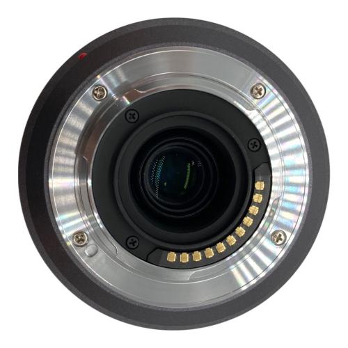 Panasonic (パナソニック) LUMIX G VARIO H-FS045200 45～200 mm F4-5.6 -