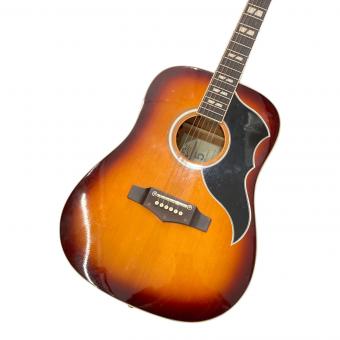 EKO (イーコー) アコースティックギター RANGER VI VR EQ