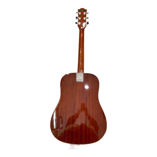 EKO (イーコー) アコースティックギター RANGER VI VR EQ