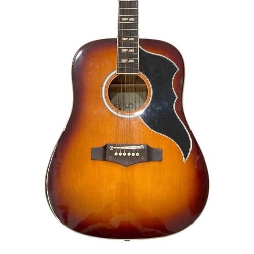 EKO (イーコー) アコースティックギター RANGER VI VR EQ