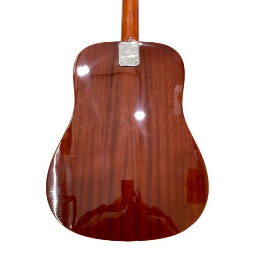 EKO (イーコー) アコースティックギター RANGER VI VR EQ