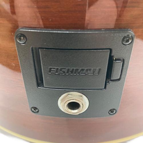 EKO (イーコー) アコースティックギター RANGER VI VR EQ