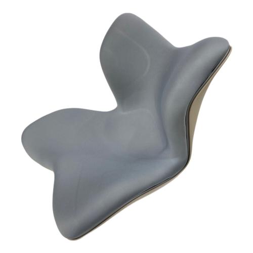 MTG (エムティージー) スタイルプレミアム グレー