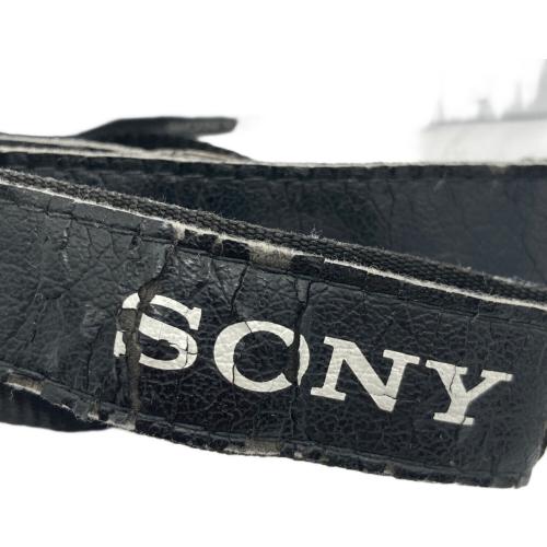 SONY (ソニー) ミラーレス一眼カメラ NEX-3N