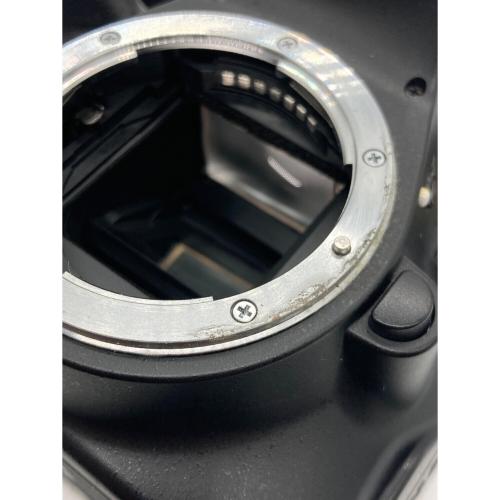 Nikon (ニコン) 一眼レフカメラ D5100