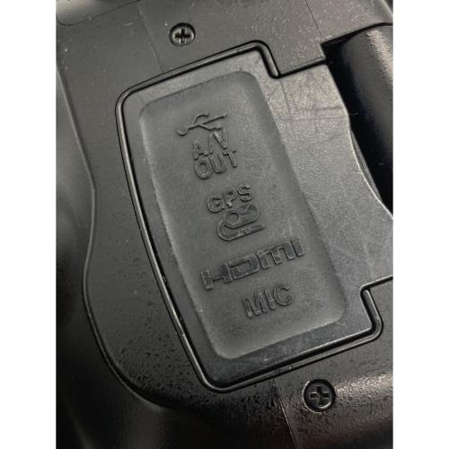 Nikon (ニコン) 一眼レフカメラ D5100
