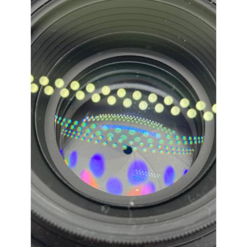 Nikon (ニコン) 単焦点レンズ