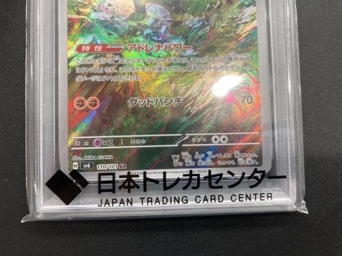 イイヌイヌ ポケモンカード 110/101 AR @