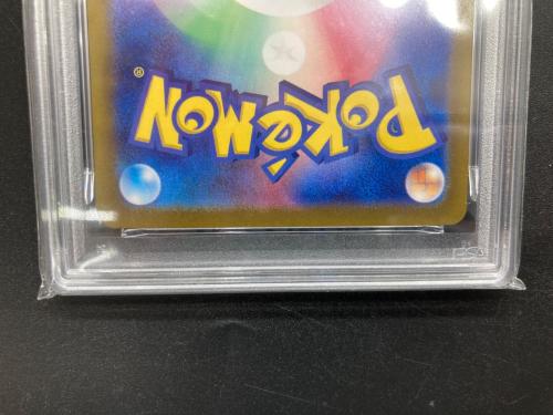 イイヌイヌ ポケモンカード 110/101 AR @