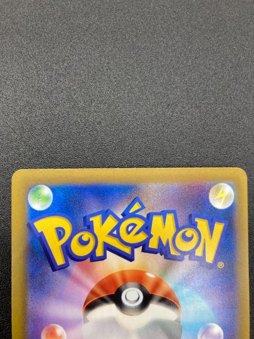 ポケモン ライコウ ポケモンカード SAR MEGA