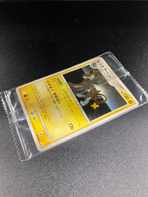レントラー ポケモンカード @ Π Meiji
