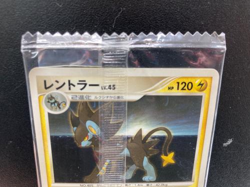 レントラー ポケモンカード @ Π Meiji