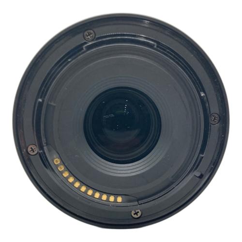 Nikon (ニコン) ズームレンズ NIKKOR Z DX