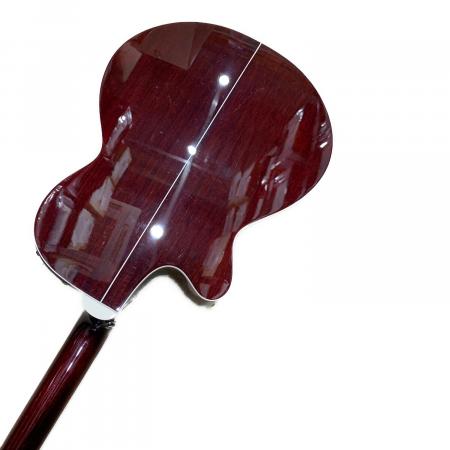 Takamine (タカミネ) エレアコギター PTU121C 動作確認済み