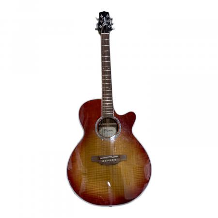 Takamine (タカミネ) エレアコギター PTU121C 動作確認済み