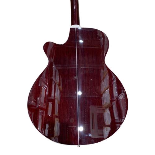 Takamine (タカミネ) エレアコギター PTU121C 動作確認済み