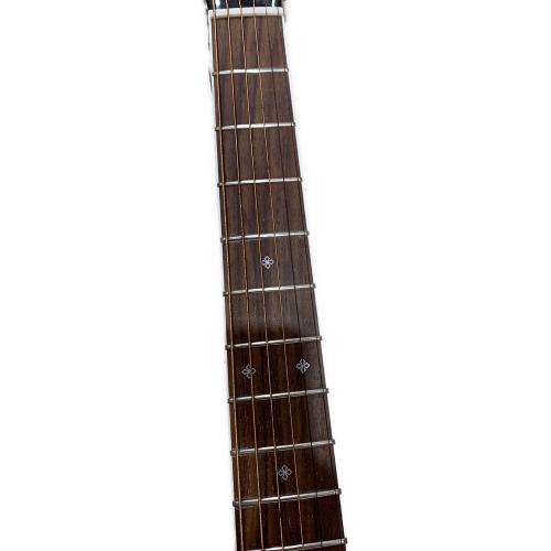 Takamine (タカミネ) エレアコギター PTU121C 動作確認済み