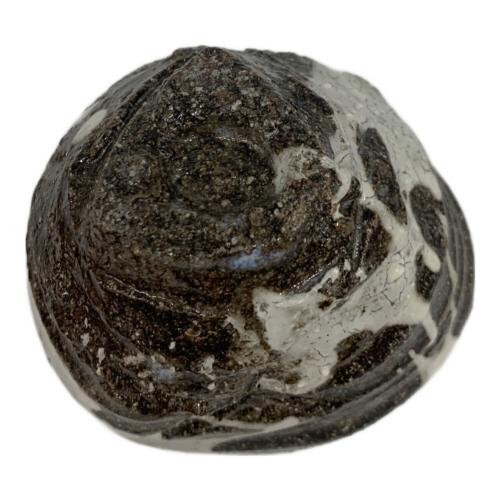 粉ひきぐい呑み 塚本治彦