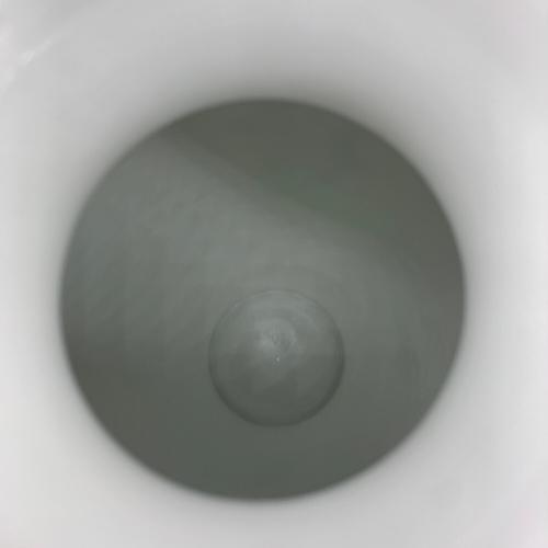 Herend (ヘレンド) フラワーベース アポニーフラワー