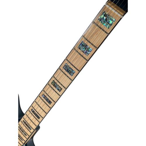 Psychederhythm (サイケデリズム) エレキギター PSYCHOMASTER